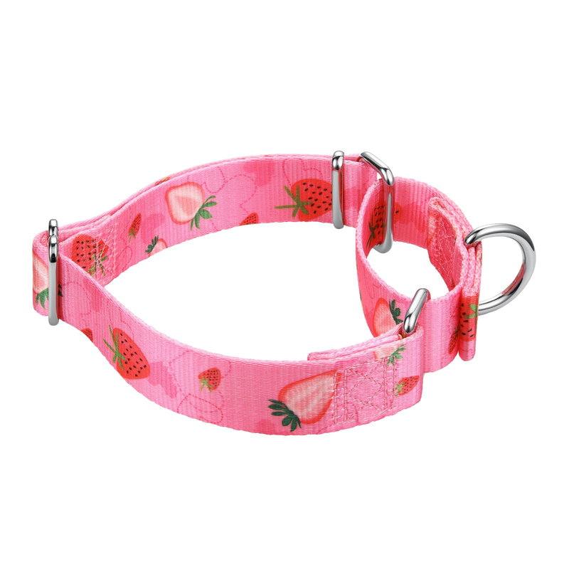 Mikivery Martingale Collar 1 inch Slip On and Off,NO Buckle Gently Tightens Medium and Large Collars Strawberry-Pink M:14"-21"