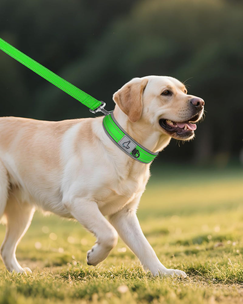 Joytale Dog Collar for Large Dogs, Neoprene Padded and Adjustable, Reflective Wide Heavy Duty Pet Collars with Durable Metal Belt Buckle for Walking, Green, L L: Width 1", Neck 19-23" - PawsPlanet Australia