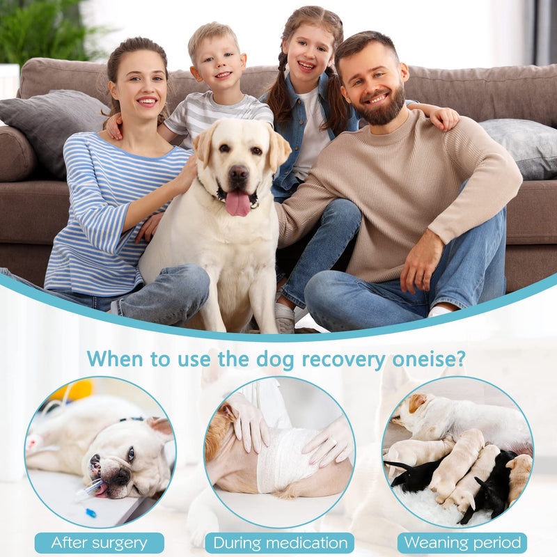 Etdane Dog Recovery Suit After Surgery Onesies Female Male Dog Surgical Vest Pet E-Collar Alternative for Small Medium Dog Blue/X-Small X-Small