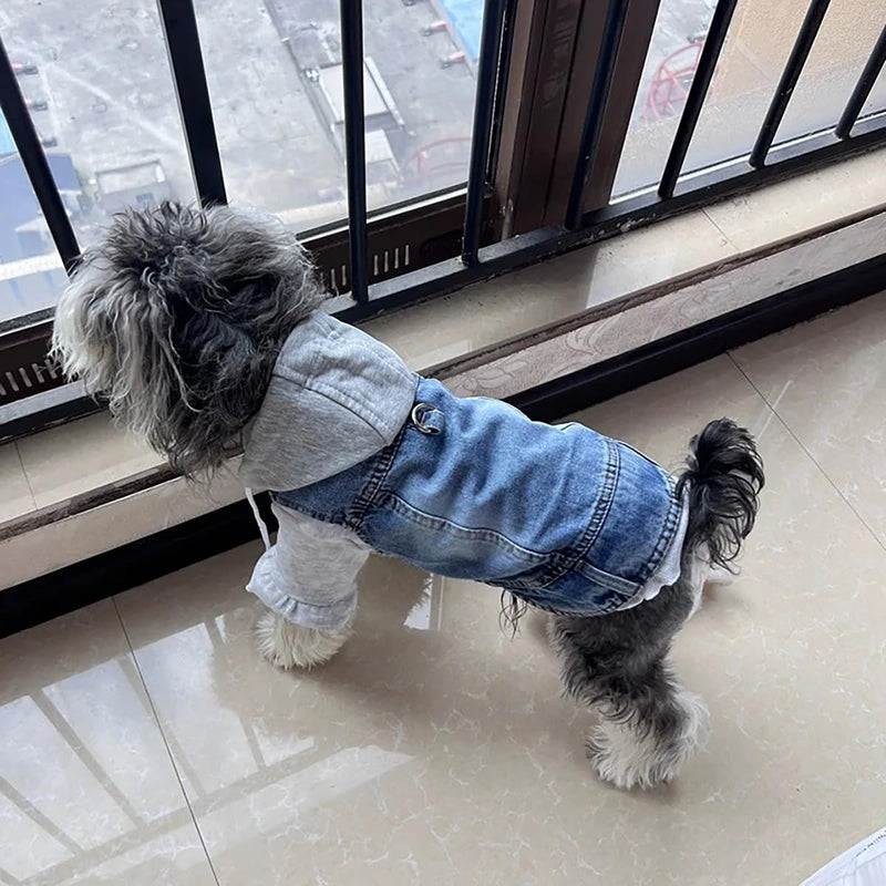 Puppy Harness Jacket for Small Dogs - Breathable Soft Dog Clothes with D-Ring for Leash, Lightweight Comfort Vest for Small Breed Puppies, Cats X-Small Black hoodies - PawsPlanet Australia