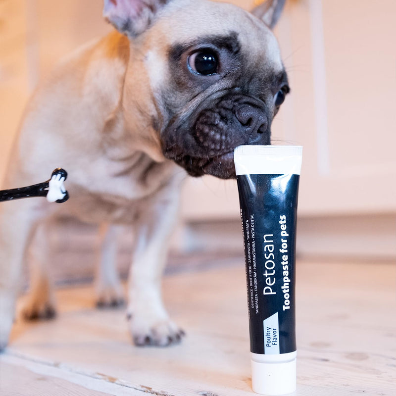 Petosan Dental Care Kit for Toy Dogs - Double-Headed Dog Toothbrush and Toothpaste Set (0-3kg) - Plaque and Tartar Removal, Fresh Breath, Recommended by Vets, Poultry Flavour.