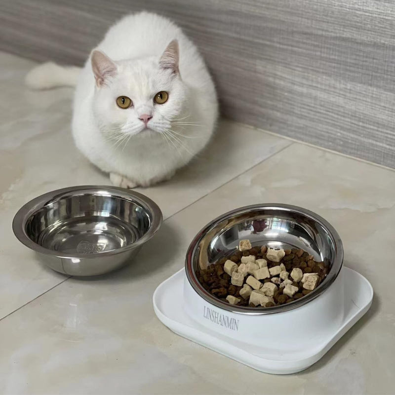 Cat Bowls Elevated Tilted Whisker Friendly, Cat Food Bowls for Indoor Cats, Shallow Cat Food Dishes Stainless Steel, Slanted Flat Plastic Feeder Elevated Angled Design.(White) White - PawsPlanet Australia
