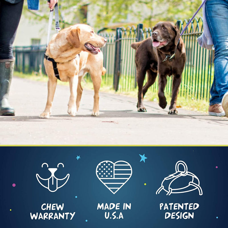 2 Hounds Design Freedom No Pull Dog Harness with Leash, Adjustable Gentle Comfortable Control for Easy Dog Walking, for Small Medium and Large Dogs, Made in USA - PawsPlanet Australia