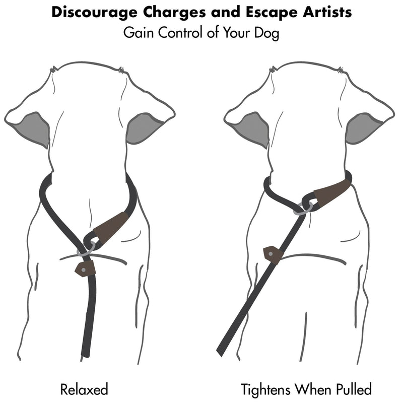 Friends Forever Extremely Durable Dog Rope Leash, Premium Quality Training Slip Lead, Reflective, Thick Heavy Duty, Sturdy, No Pull, Comfortable For The Strong Large Medium Small Pets 6 feet, Green 2. Green - PawsPlanet Australia