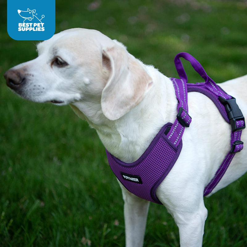 Air Frontier Mesh Dog Harness with Steel Leash D-Ring, Reflective Stitching, and Lightweight Breathable No-Pull Design, Adjustable Neck and Chest Straps for Small to Large Breeds - PPW, XS XS (Chest: 13 - 16") Harness (Purple Mesh) - PawsPlanet Australia