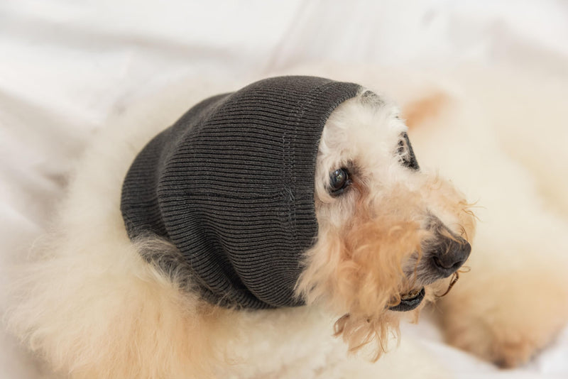Dog Hematoma Ear Wrap,Pet Ear Flap Head Wrap for Dogs Anxiety Relief – Noise Canceling for Fireworks, Thunderstorms, Pet Grooming & Force Drying(Grey M). Grey Medium - PawsPlanet Australia