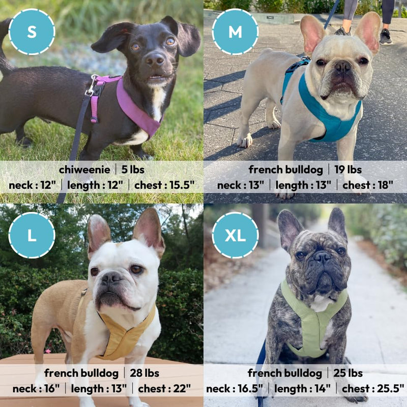 Gooby Comfort X Harness - Dual Snap, Purple, Medium - No Pull Small Dog Harness with Rotational Buckles and Patented Choke-Free X Frame Regular Medium Chest (16.5~19.5") - PawsPlanet Australia