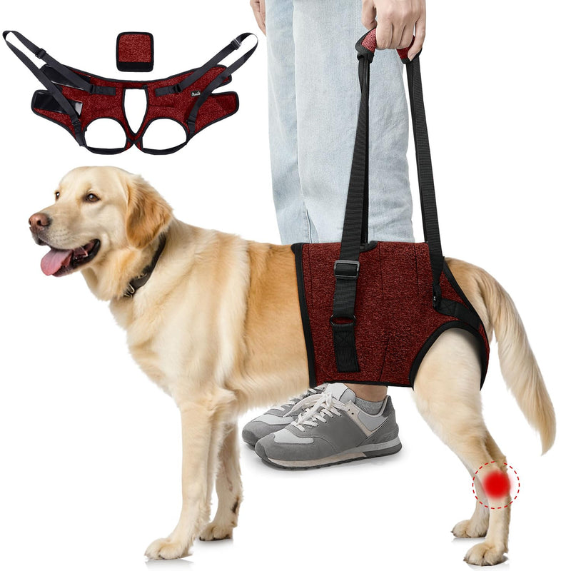 Eyein Adjustable Dog Lifting Harness - Comfortable Dog Sling Hip Support for Back Legs, Soft Hind Assistance Vest for Senior, Injured, Arthritic, Disabled and Aid After Acl Surgery(Red,XL) XL Red