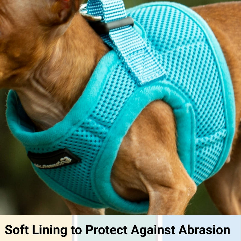 Mr. Peanut's PupTrek Small Dog/Cat Soft Mesh Step in Harness Vest (Small, Blue) - PawsPlanet Australia