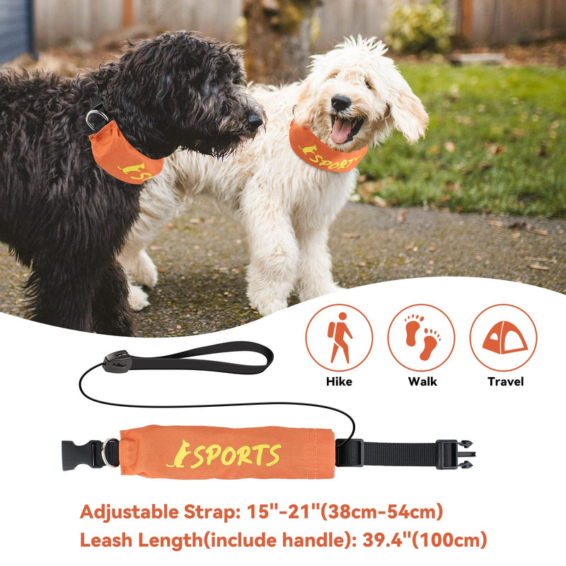 2 in 1 Dog Collar with Retractable Dogs Leash, Adjustable Dog Collar for Medium to Large Dogs Size L - PawsPlanet Australia