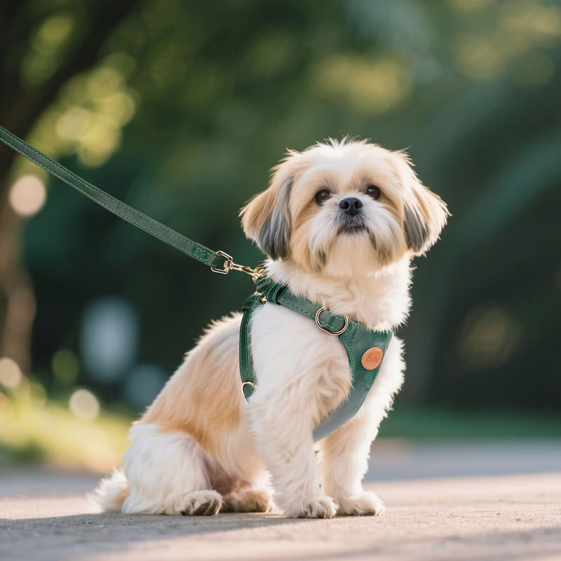 Beirui ?Stylish PU Leather Dog Harness? and Leash Set for Small Dogs, ?Adjustable Step in Puppy Harness with Breathable Mesh Lining and Durable Metal Buckle for Walking Traveling(Green,XS) XS: Fit 4-11lbs Green - PawsPlanet Australia