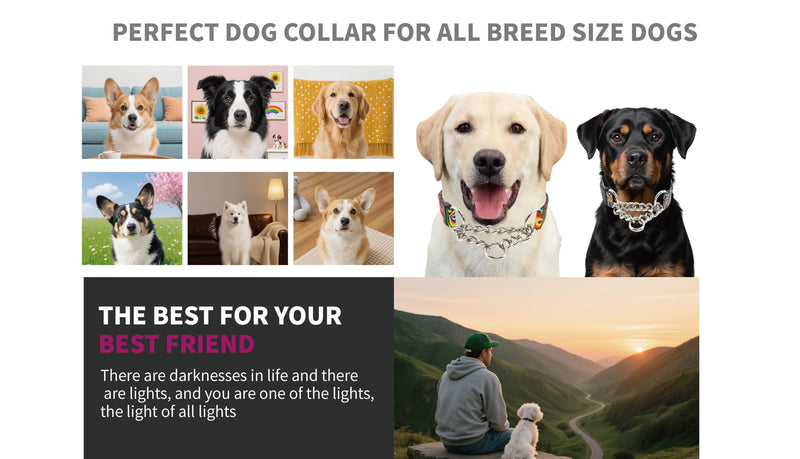 Martingale Dog Collar with Chain Stainless Steel, Nylon Dog Collar Flowers Pattern, Adjustable Training Walking Collar with Quick Release Buckle, Slip Chain Collar for Puppy Medium Large Dogs black Small - PawsPlanet Australia