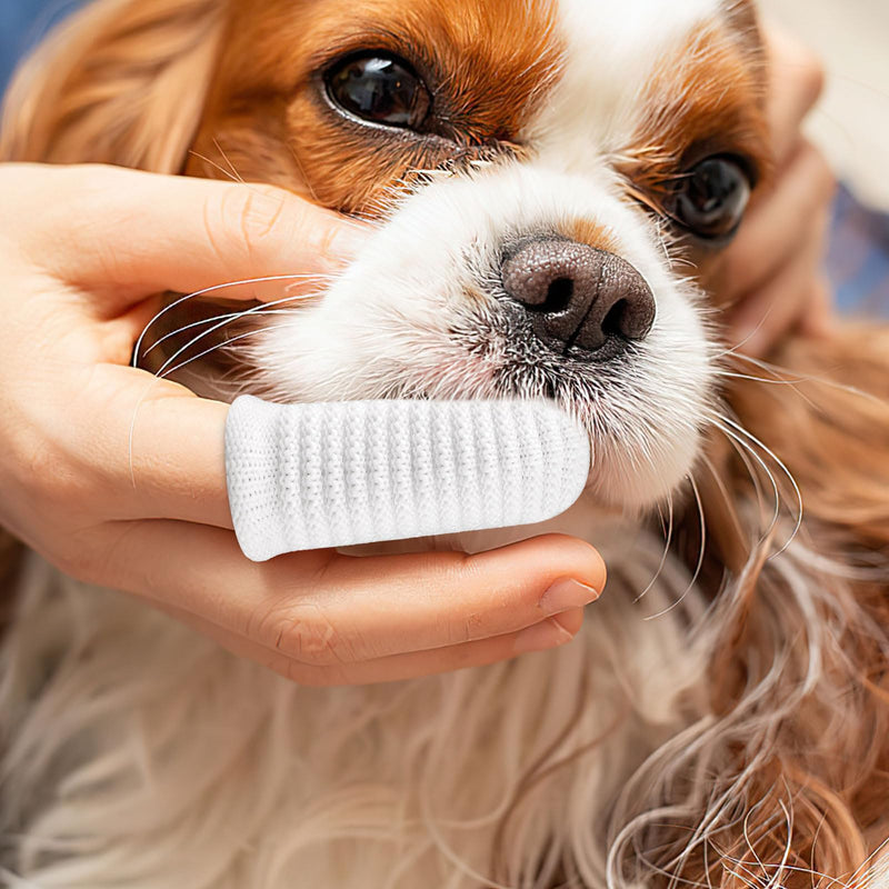Pack of 16 Dog Toothbrush, Finger Toothbrush, Dog, Dog Toothbrush, Fingerling, Reusable, Pet Finger Toothbrush for Dogs, Cats, Dental Care, Teeth Cleaning, Anti-Plaque Pet Toothbrush