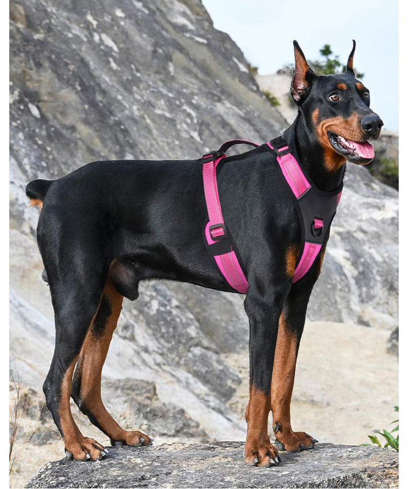 No Pull Dog Harness with Handle - Adjustable Reflective Tactical Vest for Medium & Large Dogs - Comfort Fit Padded Vest for Walking, Hiking, Training - Night Safety (Rose, X-Large) Rose - PawsPlanet Australia