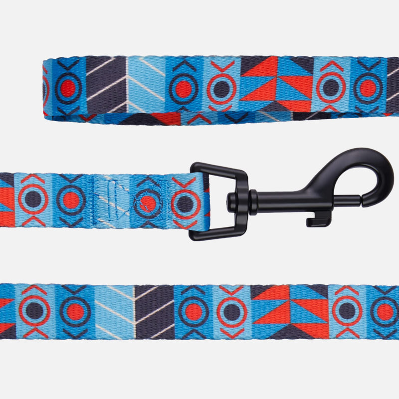 CollarDirect Nylon Dog Leash 5ft Tribal Pattern Durable Walking Pet Leashes for Dogs Small Medium Large Puppy (Pattern 2, S, New) - PawsPlanet Australia