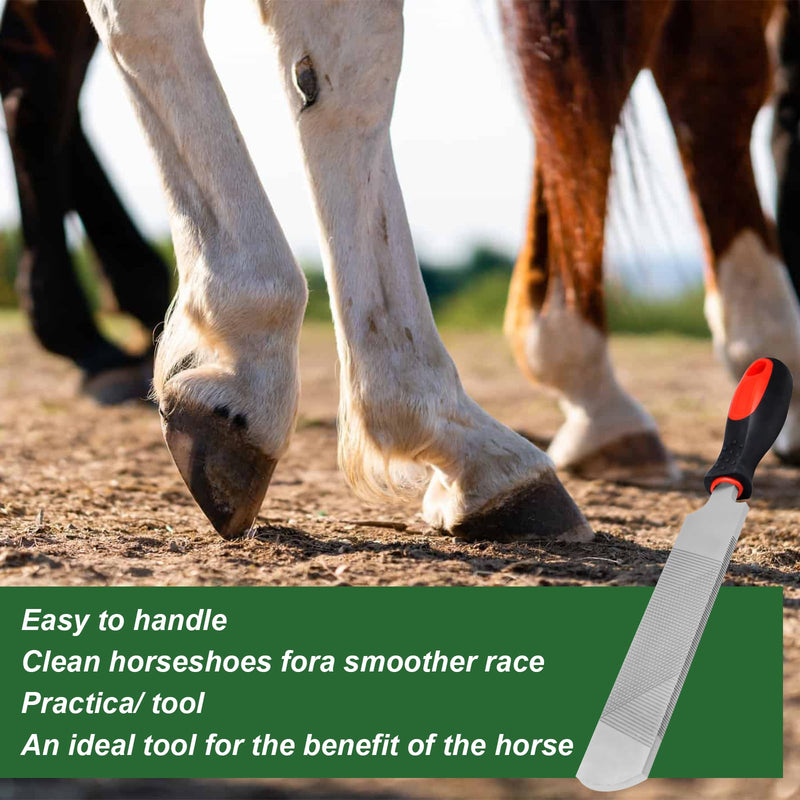 12 Inch Hoof Rasp, Carbon Steel Farrier File Tool, Trimming Tool Horse Rasp with Handle, Suitable for Horse Donkey Cow Goat Animal Hooves 12 inches