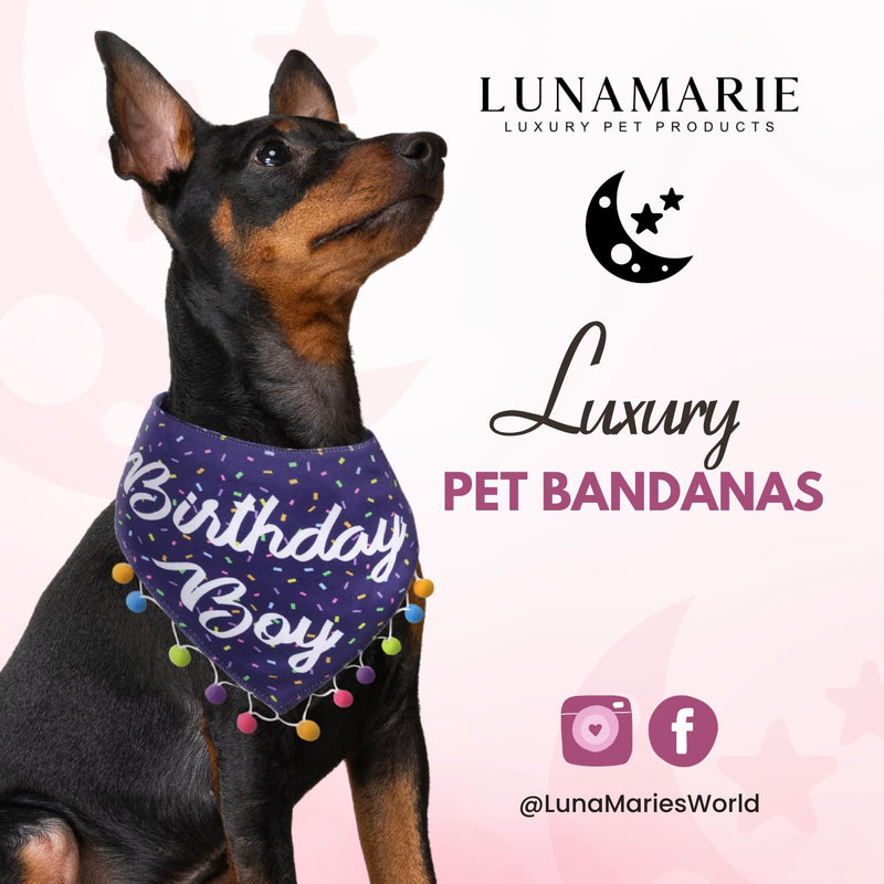 LunaMarie - Luxury Pet Birthday Bandanas -Premium & Silky Poly Fabric | 100% Handmade | Custom Shape Dual Layered (Birthday Boy, X-Small) - PawsPlanet Australia