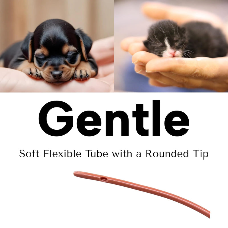 LBH Market Tube Feeding Kit for Puppies Kittens Includes Kendall Puppy Feeding Tube 5 French and 12 Ml Syringe for Fading Puppy Support Whelping Kit or Baby Kitten Supplies (5 FR) - PawsPlanet Australia