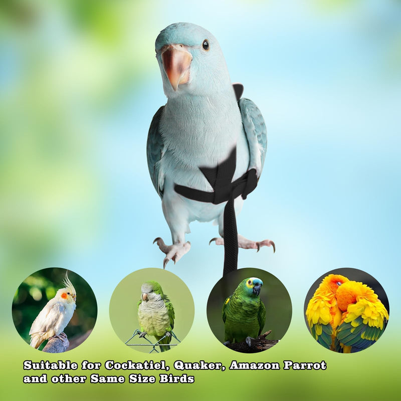 Adjustable Bird Leashes and Harnesses, Bird Nylon Harness with Cute Wing for Parrots, Pet Bird Accessories, Bird Leash for Hang Out, Suitable for Cockatiel, Quaker, Amazon Parrot and Same Size Birds Black - PawsPlanet Australia
