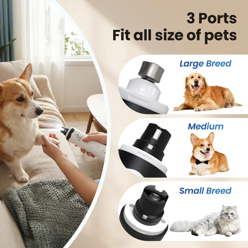 LED Pet Nail Grinder for Dogs and Cats, Rechargeable Electric Trimmer with 2 Grinding Wheels, Low Noise, White - PawsPlanet Australia