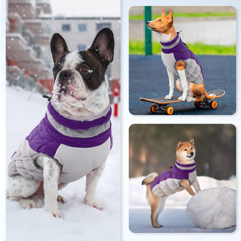 Dog Coat, Dog Jackets for Large Dogs, Dog Winter Coat with Harness Built in, Dog Cold Weather Coats Waterproof, Reflective Dog Snowsuit, Dog Winter Jacket Windproof Dog Puffer Jacket Purple 2XL XX-Large - PawsPlanet Australia