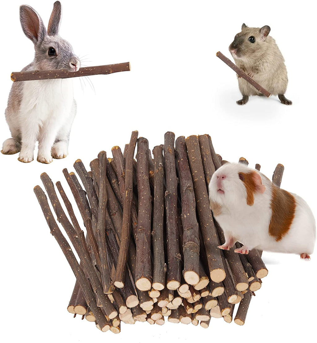 600g Apple Sticks Molar Treats, Rabbit Toys Bunny Toys Chinchilla Toys Wood Chews for Teeth Rabbit Food Guinea Pig Hamster Gerbil Toy Sticks Pet Snacks(150 Pcs) Apple Sticks 600G