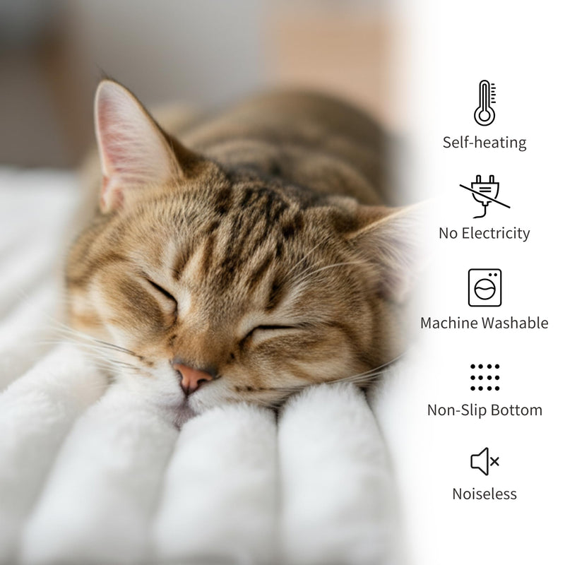 NWK Pack of 4 Fluffy Self Warming Cat Mat, Cat Blanket, Thermal Dog Mat, Washable, Non-Slip Bottom for Sofa & Crate & Kennel & Car Seat (Creamy White, Medium (27'' X 18.5'' X 0.7'')) - PawsPlanet Australia