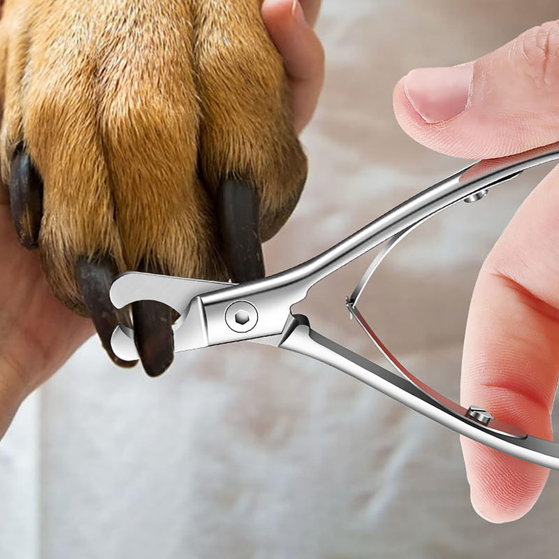 Pet Nail Clippers for Dogs & Cats – Sharp, Durable Blades with Beginner-Friendly, Hygienic Design for Small Pets Paw Care, Large Dog Nail Trimmer,Ergonomic Grooming Tool for Safe Pet Grooming Silver - PawsPlanet Australia