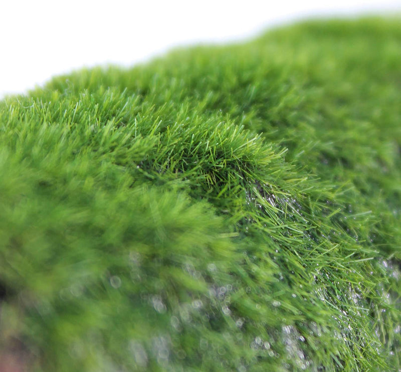 PENN-PLAX Deco-Replicas Hide-Away Pipes with Club Moss Aquarium Decoration – Realistic Appearance with Various Textures – Safe for Freshwater and Saltwater Fish Tanks - PawsPlanet Australia