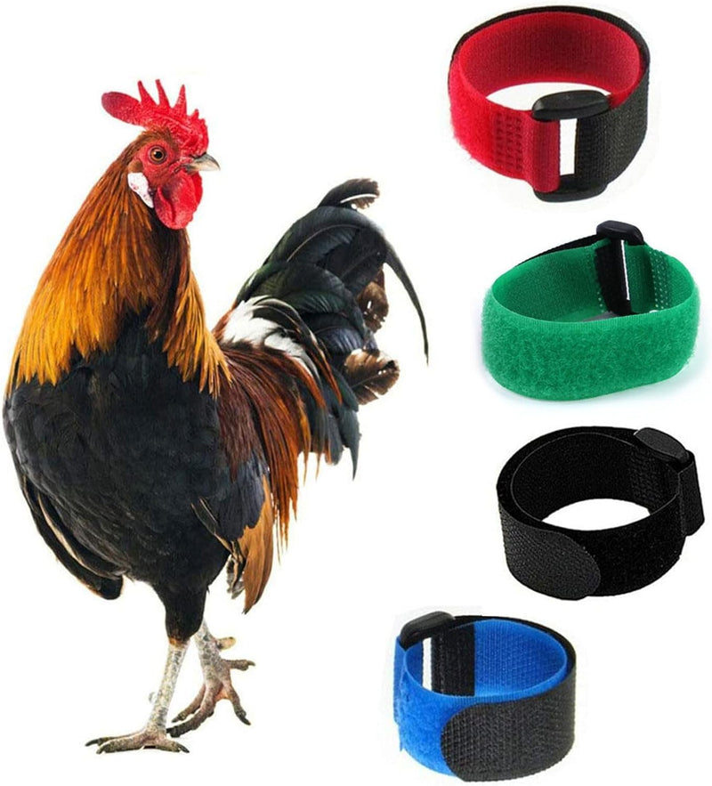 2Pcs Black Anti Crowing Collar Adjustable Rooster Cockerels Anti-Hook No Noise Nylon Neck Strap Pet Products Pets Collar Anti Crow Rooster Collar Anti Crow Rooster Collar for Small Rooster Collars - PawsPlanet Australia