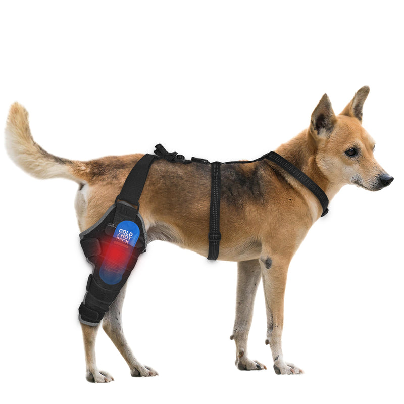 Dog Knee Brace for Back Leg - Adjustable Breathable Canine Leg Wrap with Hot & Cold Gel Packs - Supports Large & Medium Dogs with Arthritis, Hip Dysplasia, ACL Injuries M right leg