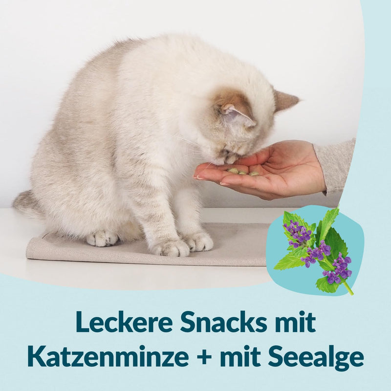 GimCat Nutri Dental Bites - Delicious Snack with a Targeted Formula for the Wellbeing of Your Cat - 1 Bag (1 x 425 g)