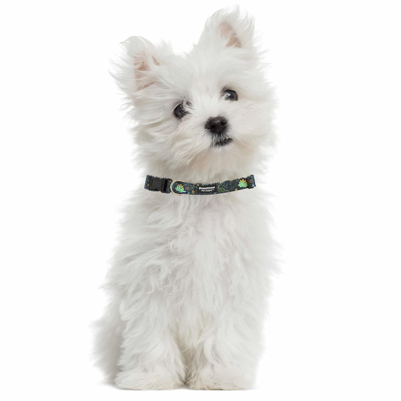 Downtown Pet Supply - Best & Fancy Adjustable Dog Collar with Quick Buckle & D-Ring - Hand Wash Safe - Dino - M - Medium Medium: 10"-17"