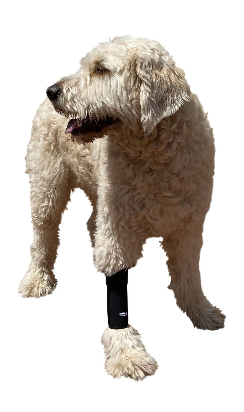 Labra Extra Supportive Dog Canine Front Leg Metal Spring Compression Brace Wrap Sleeve Protects Wounds Brace Heals and Prevents Injuries and Sprains Helps with Loss of Stability Caused by Arthritis… L/XL - PawsPlanet Australia