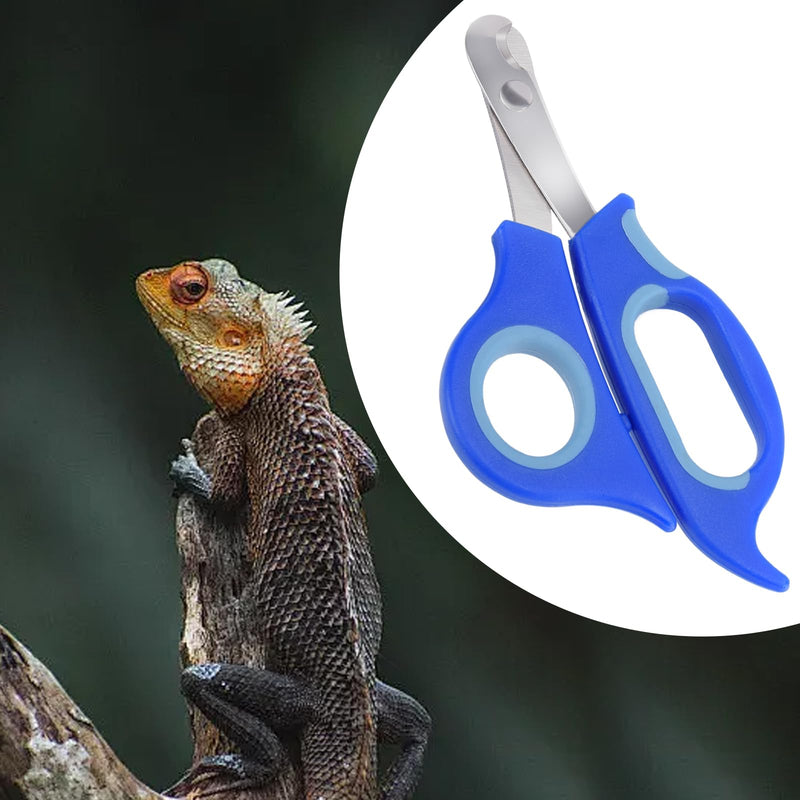 Bearded Dragon Nail Clippers,Stainless Steel Bearded Dragon Toe Nail Clippers with Precise Angled Edges,Professional Grooming Pet Tool for Reptile Nail Clippers Bearded Dragon - PawsPlanet Australia