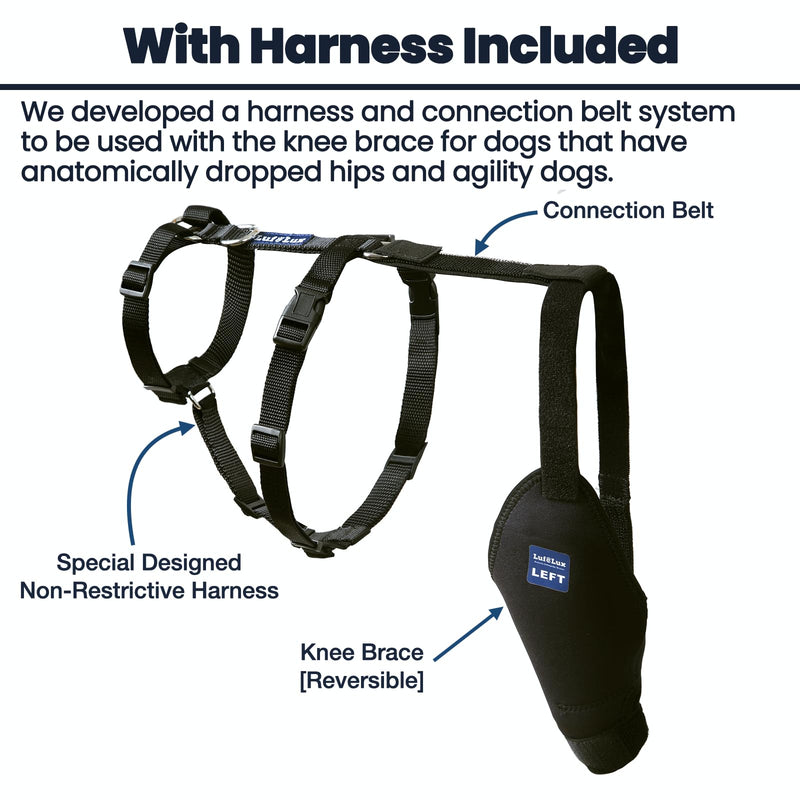 Dog Knee Brace with Harness and Connection Belt, Lightweight and Stretchable, Support for Torn ACL Hind Leg, Luxating Patella, Reduces Arthritis Pain and Inflammation (XX-Small) XX-Small