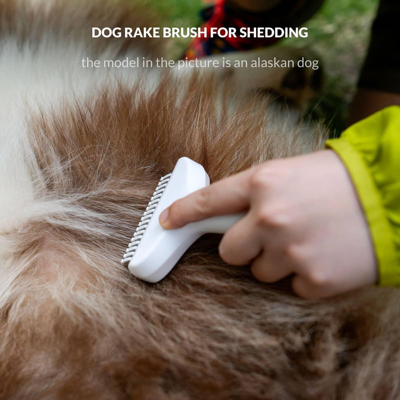 Self Cleaning Grooming Rake Brush for Shedding Gently Removes Loose Undercoat Mats Tangled Deshedding Grooming Tool for Dogs Cats Extra Wide (Blue) Blue - PawsPlanet Australia