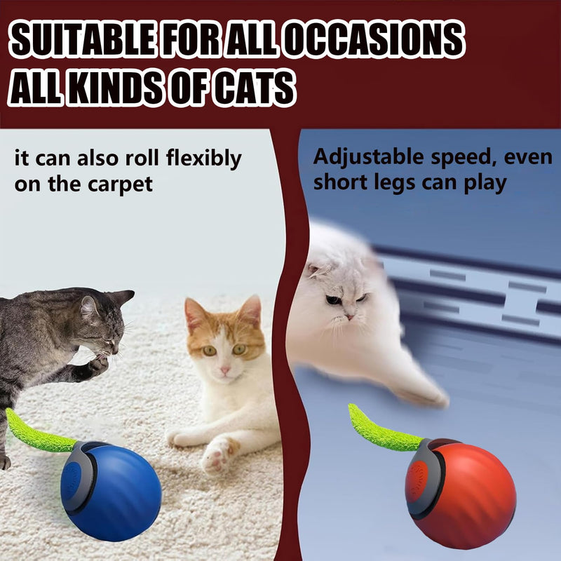 Speedy Tail 2.0,Speedy Tail Cat Toy,2025 New Generation Interactive Cat Toy,Interactive Cat Toys for Indoor Cats,Smart Interactive Cat Toy Ball,Automatic Moving Cat Toy Ball with Tail (Blue) Blue - PawsPlanet Australia