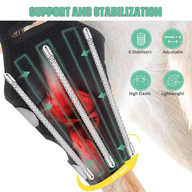 Dog Knee Brace for Torn ACL Hind Leg, Rear Leg Cruciate Ligament Braces for Dogs, Strong Support to Reduce Joint Pain and Muscle Sore, with Side Stabilizers for Back Leg Large L