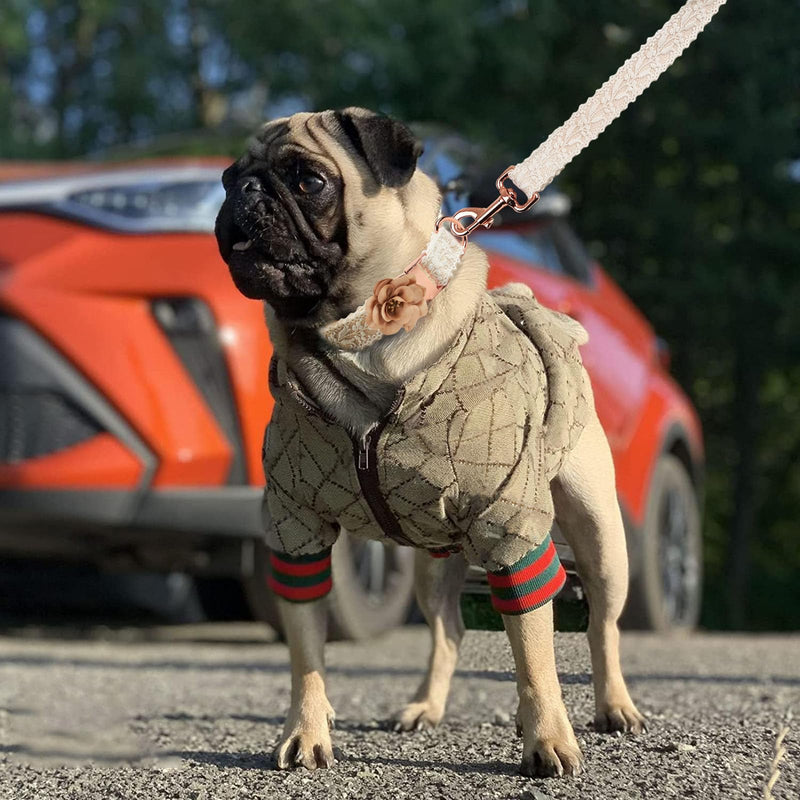 Dog Hoodie Luxury Dog Clothes Winter Puppy Jacket Classic Designer Pet Clothes Coat French Bulldog Teddy Pug Brown XXL