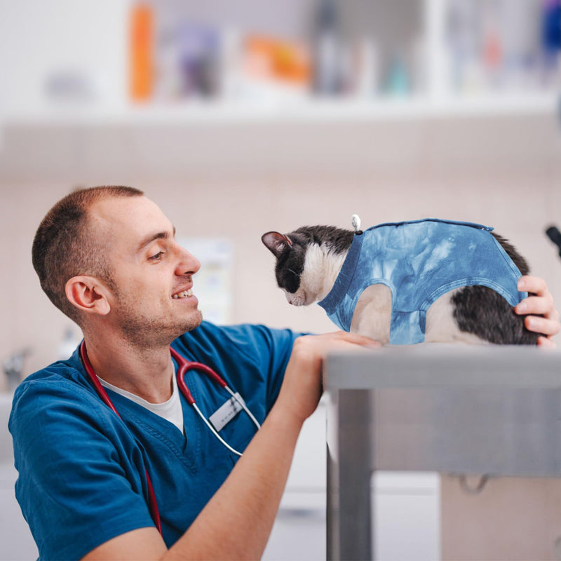 Cat Recovery Suit for Male and Female Surgical Post Surgery Soft Cone Onesie Tie Dye Cats Shirt Clothes Neuter Licking Protective Diapers Outfit Cover Kitten Spay Collar Alternative(Navy Blue, M) Medium Navy Blue