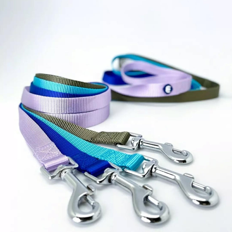 Blueberry Pet Essentials Turquoise Dog Leash for Small -5' * 5/8" Dogs | Heavy Duty Nylon Lead | Lightweight Puppy & Cat Leash for Walking & Training - PawsPlanet Australia