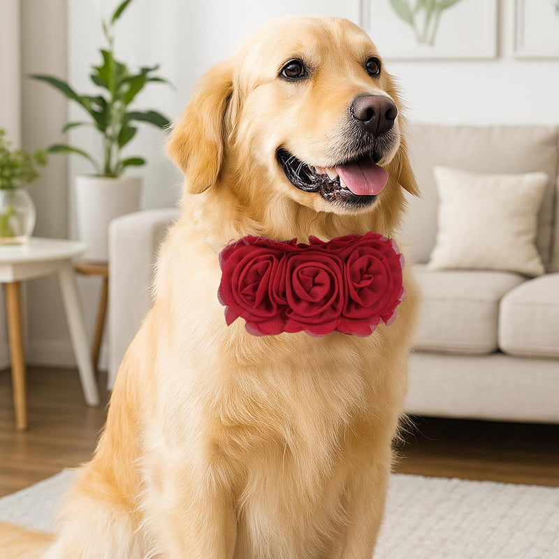 6Pcs Large Flowers Dog Collar, Dog Collar Flowers Charms Attachment Neck Bows Sliders Flower Bow for Female Small Medium Big Puppy Cat Rabbit Pet Grooming Accessories Wedding Birthday Party - PawsPlanet Australia