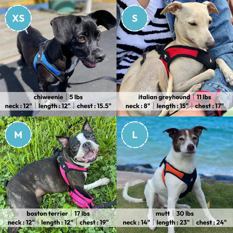 Gooby - Escape Free Easy Fit Harness, Small Dog Step-in Harness for Dogs that Like to Escape Their Harness, Turquoise, Small Small chest (16~19.25") - PawsPlanet Australia