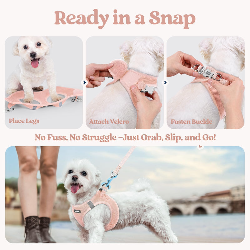 rabbitgoo Dog Harness Small Sized and Leash Set, Step in Soft Light Puppy Vest, Breathable Mesh Pet Harness, Reflective for Safe Outdoor Walking, Pink S S (Chest: 15.1 - 16.5") - PawsPlanet Australia
