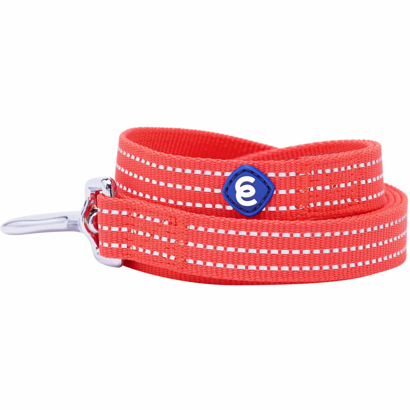 Blueberry Pet Essentials Reflective Better Basics Dog Leash, Fiery Red, 5 ft x 5/8", Small, Leashes for Dogs - PawsPlanet Australia