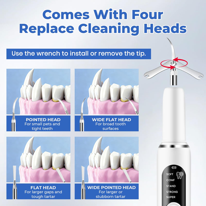 Dog Plaque Remover, Dog Tooth Brushing kit for Tartar and Stains, 5 Modes, LED Light, Pet Ultrasonic Cleaner with Toothbrush & 4 Cleaning Head, Suitable for Dogs and Cats