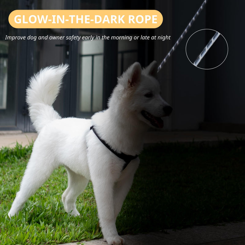 5ft Hands Free Dog Leash, Waist Dog Leash, Heavy Duty Belt Dog Leashes with Zipper Pouch, and Highly Reflective Threads for Walking, Jogging, and Running with Your Dog - PawsPlanet Australia