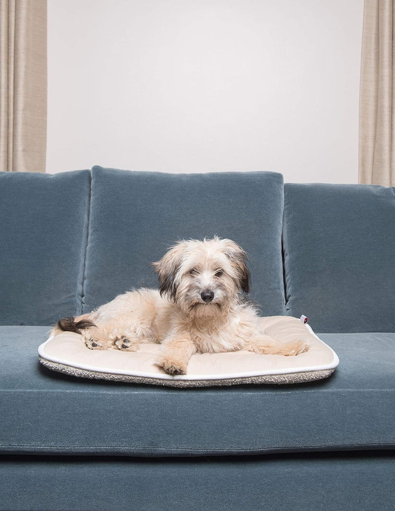 Dog Gone Smart Sleeper Cushion, Large, Berry - PawsPlanet Australia