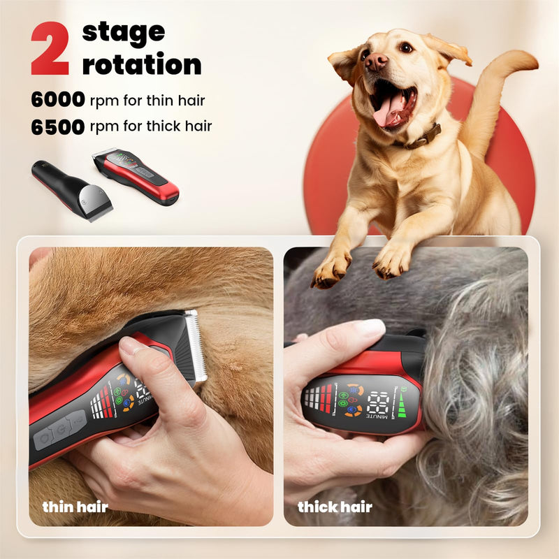 Wide Blade Dog Cat Clippers - Professional Cordless Grooming Tools for Thick Coats - Low Noise Pet Hair Trimmer Kit Ts066-red+black - PawsPlanet Australia